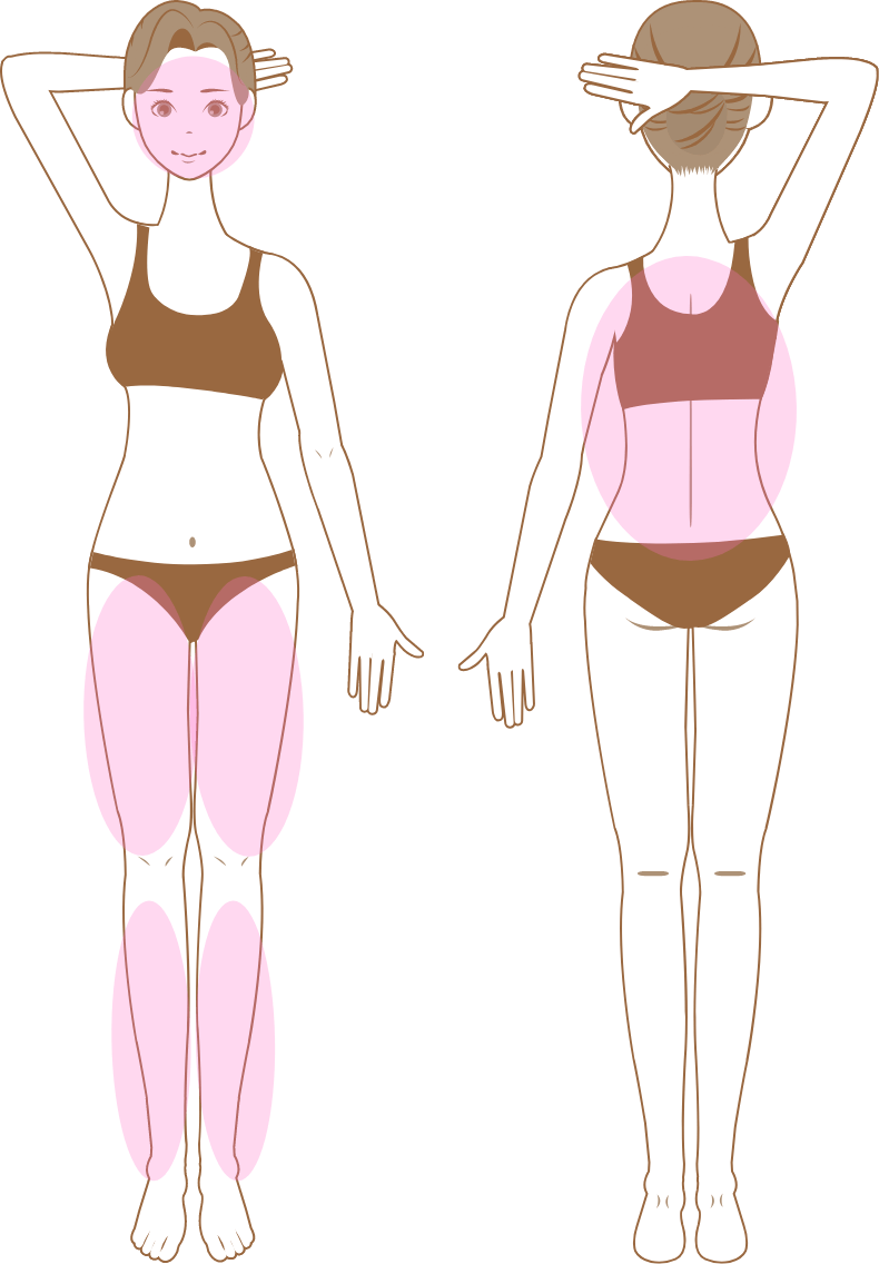 女性脱毛箇所説明イラスト03